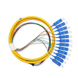 12 Inti Fiber Optic Patch Cord Pigtail Sc Connector Untuk Peralatan Telekomunikasi